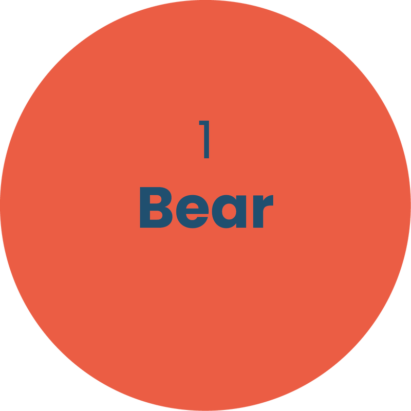 1. Bear