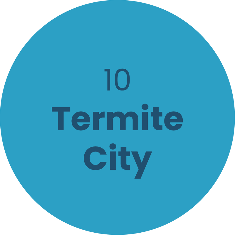 10. Termite City