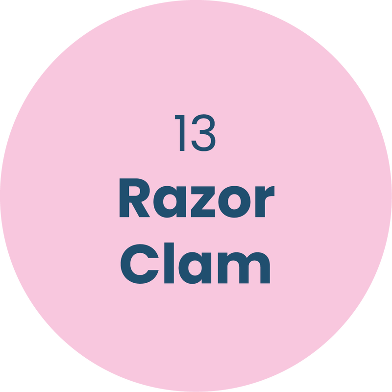 13. Razor Clam
