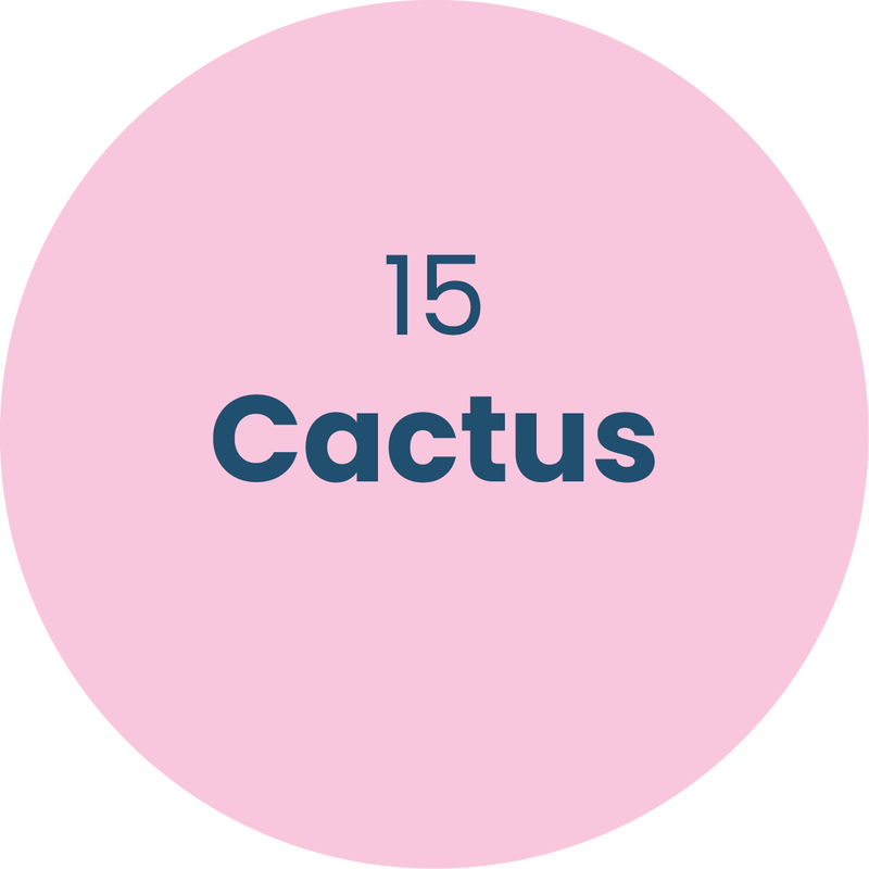 15. Cactus