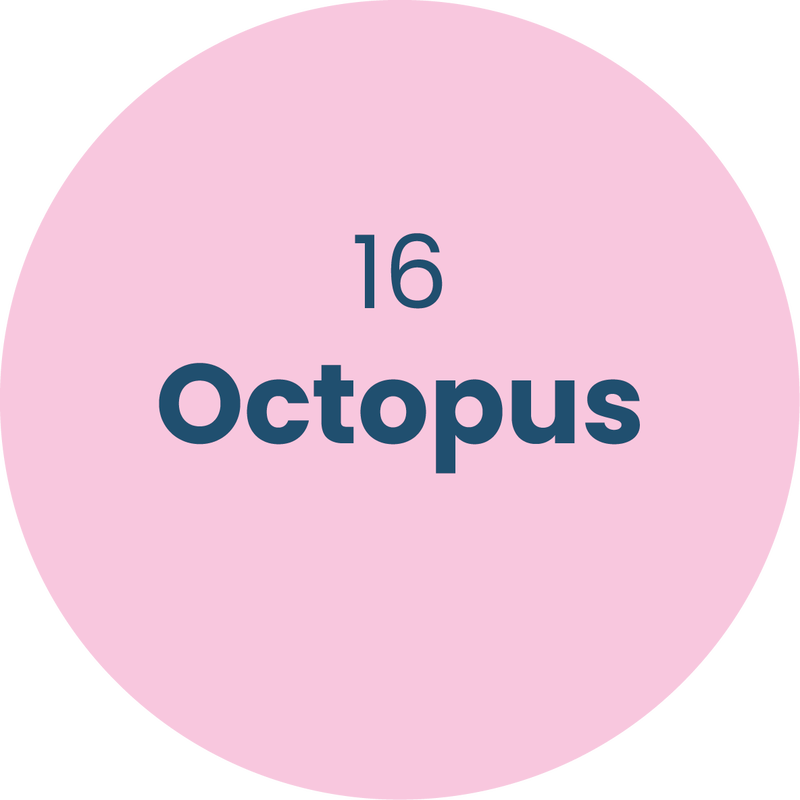 16. Octopus