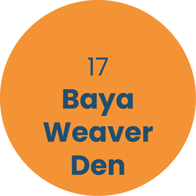 17. Baya Weaver Den