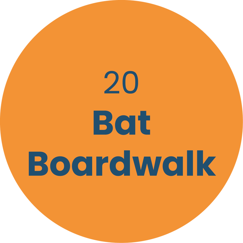 20. Bat Boardwalk