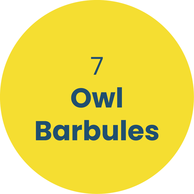 7. Owl Barbules