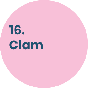 16. Clam