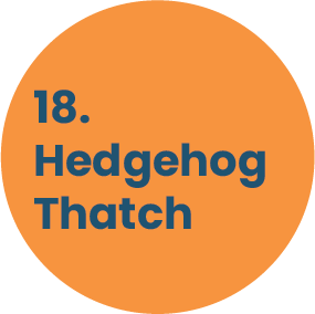 18. Hedgehog Thatch