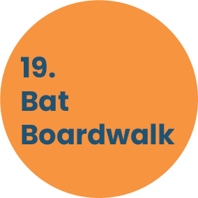 19. Bat Boardwalk