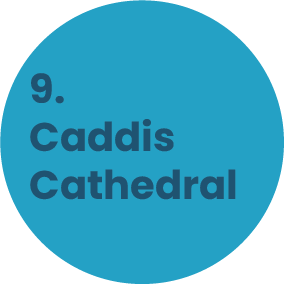 9. Caddis Cathedral
